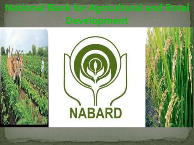 NABARD Central Govt Jobs