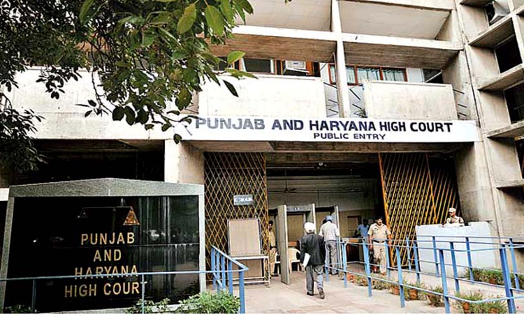 Punjab and Haryana High Court Jobs