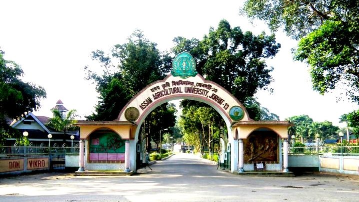 Assam Agricultural University Jobs